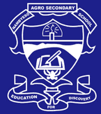 Nambyeso Agro Secondary School logo